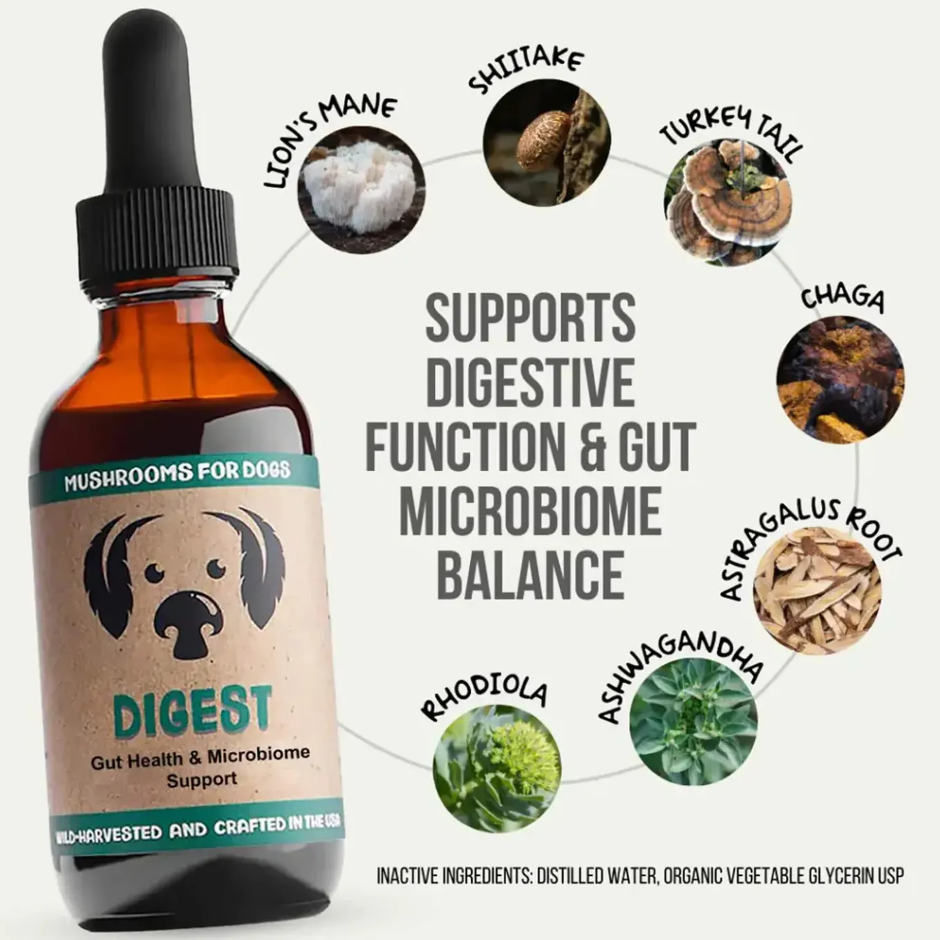 MycoDog Digest Liquid Gut Health Supplement for Dogs