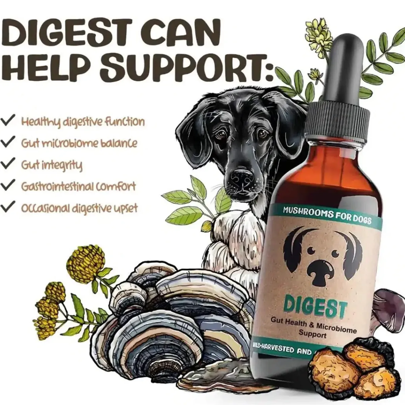 MycoDog Digest Liquid Gut Health Supplement for Dogs