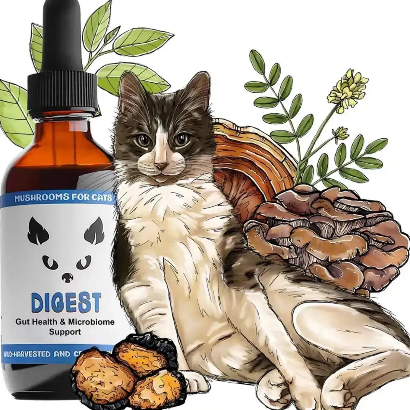 MycoDog Digest Liquid Gut Health Supplement for Cats