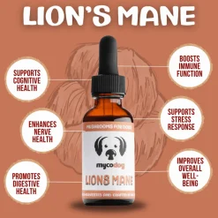 MycoDog Lion's Mane Mushroom Tincture for Dogs