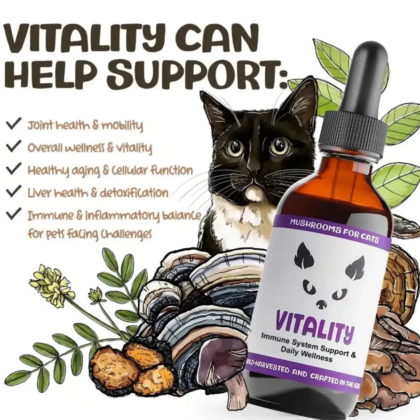 MycoDog Vitality Liquid Immune Support Supplement for Cats
