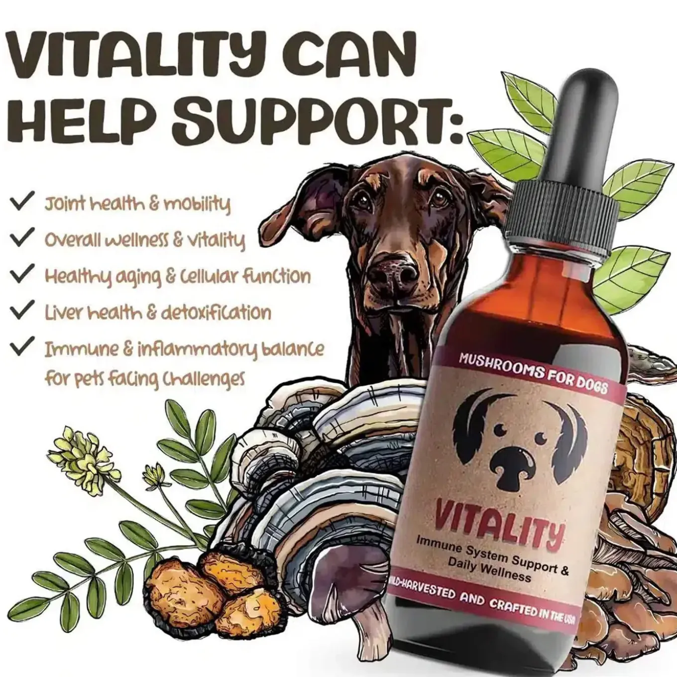 MycoDog Vitality Liquid Immune Support Supplement for Dogs
