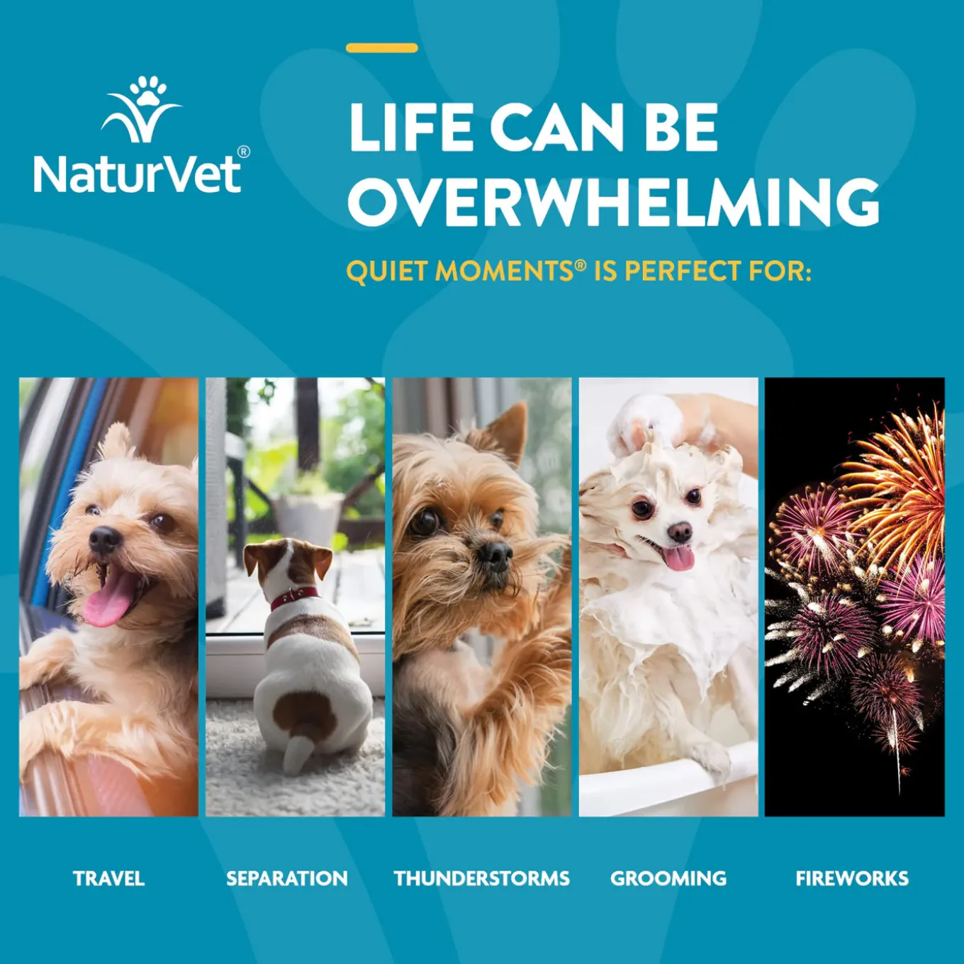 NaturVet Calming Aid