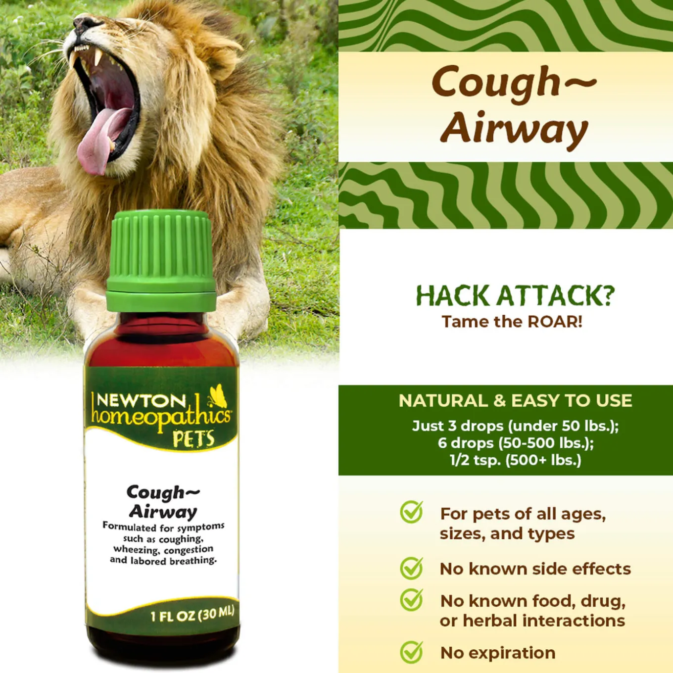 Newton Homeopathics Cough Airway