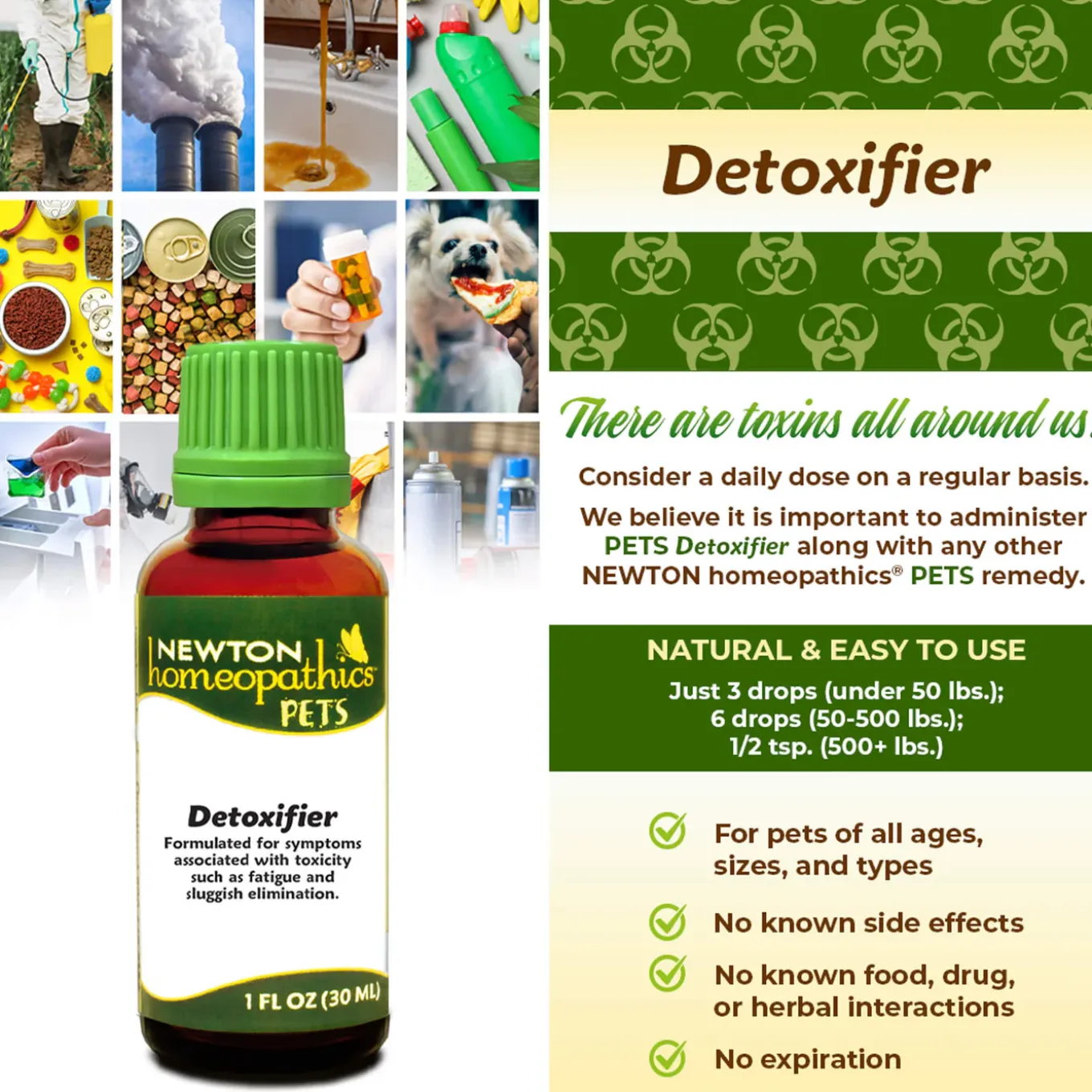 Newton Homeopathics Detoxifier