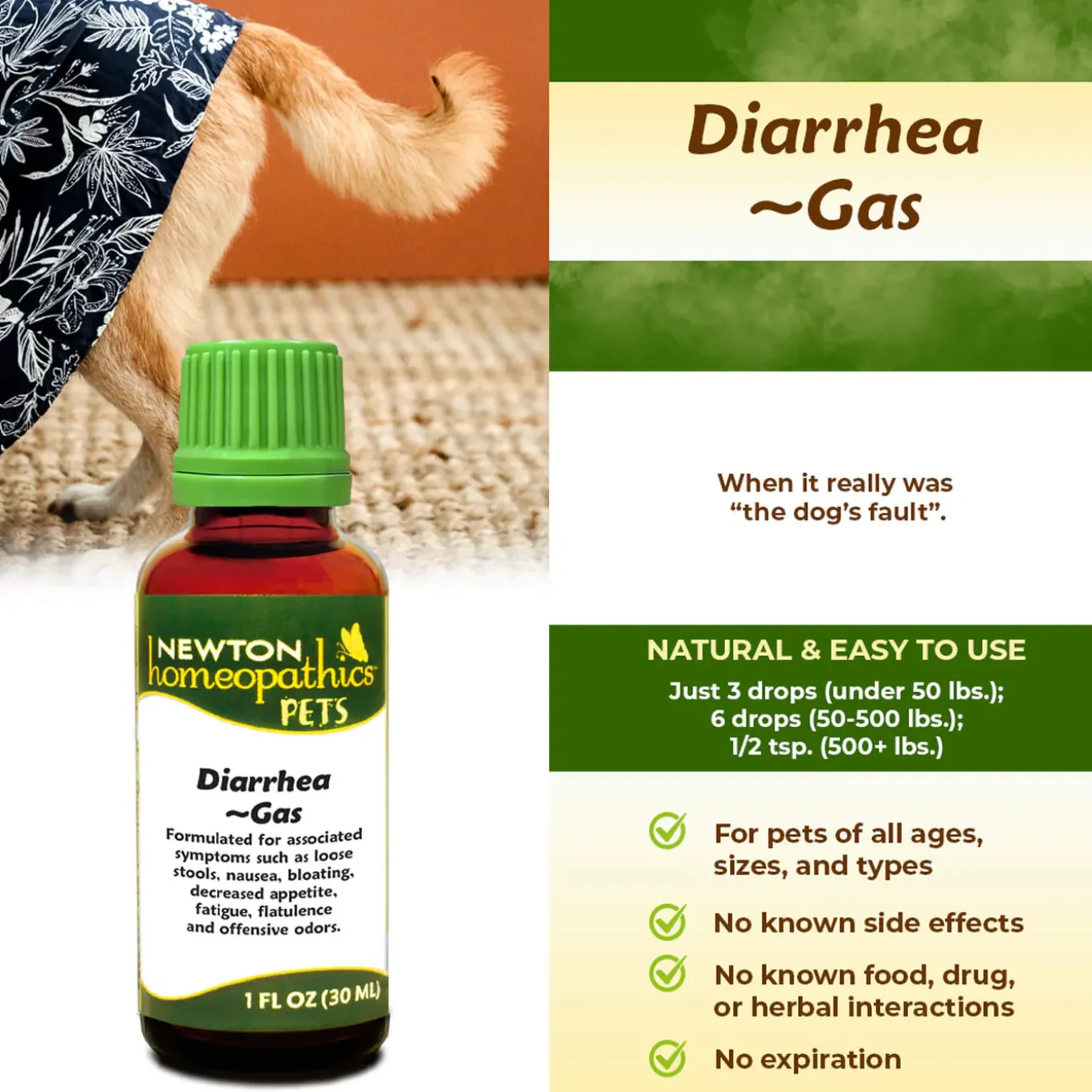Newton Homeopathics Diarrhea & Gas