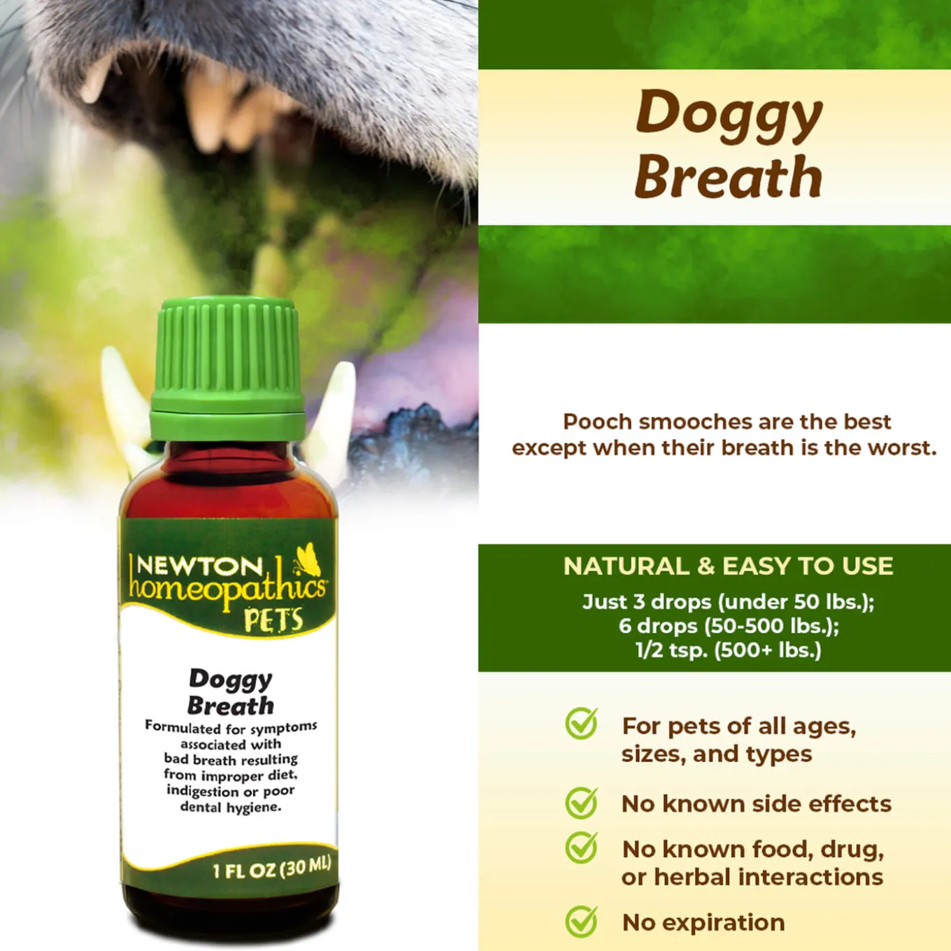 Newton Homeopathics Doggy Breath