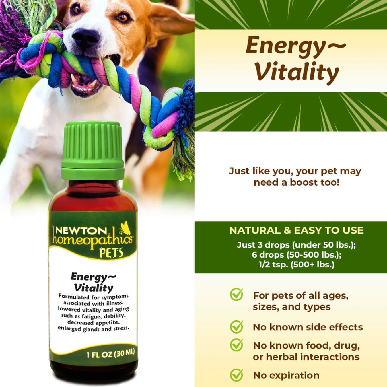 Newton Homeopathics Energy Vitality Assist