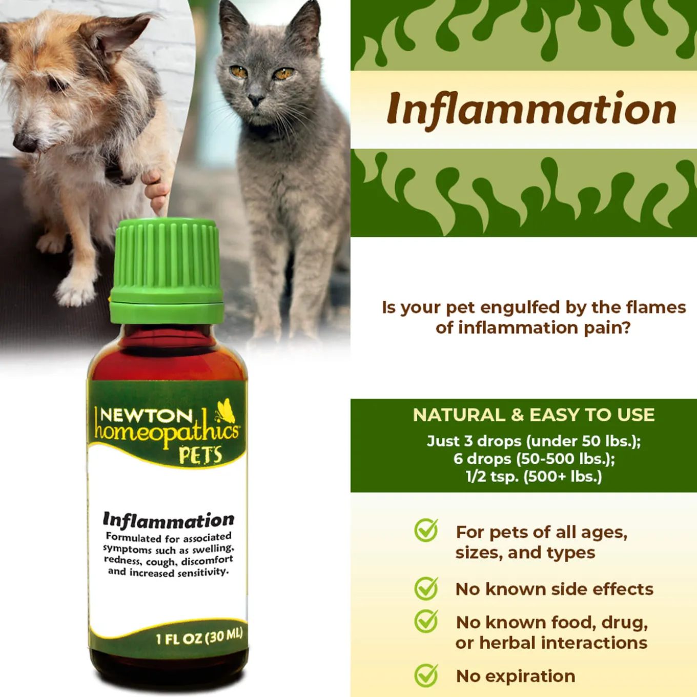 Newton Homeopathics Inflammation