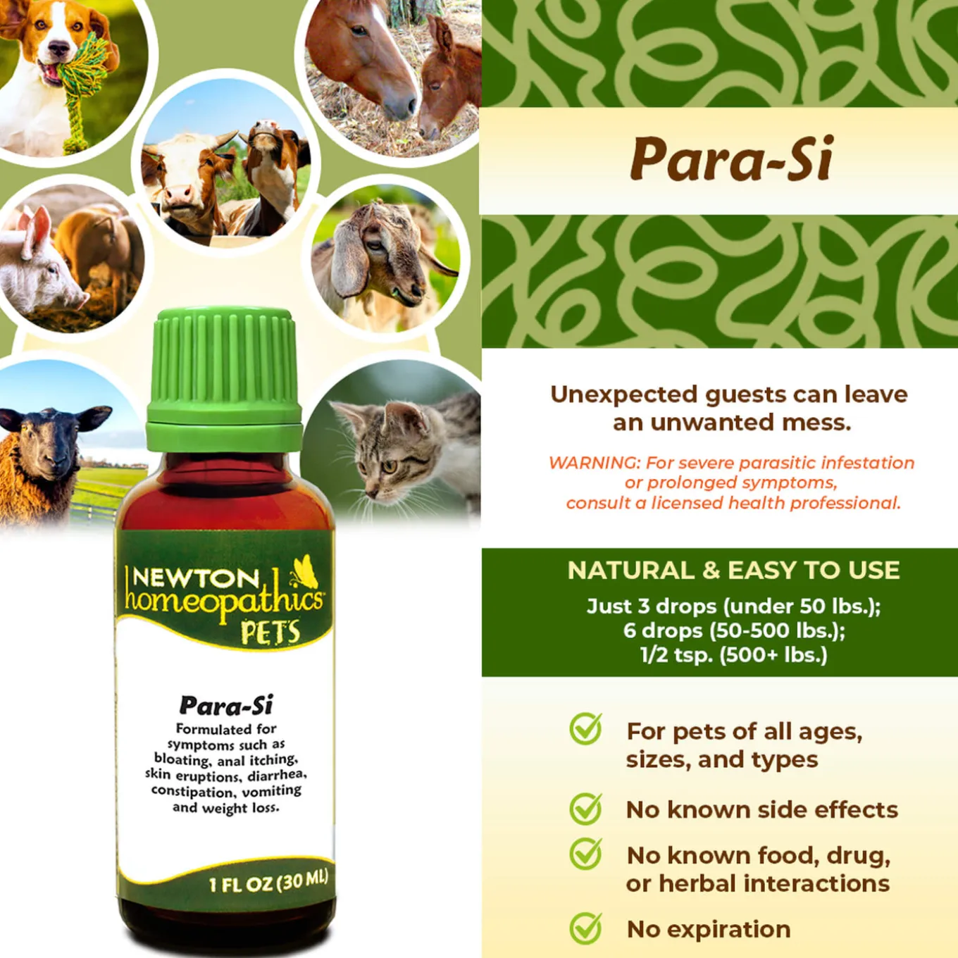 Newton Homeopathics Parasites