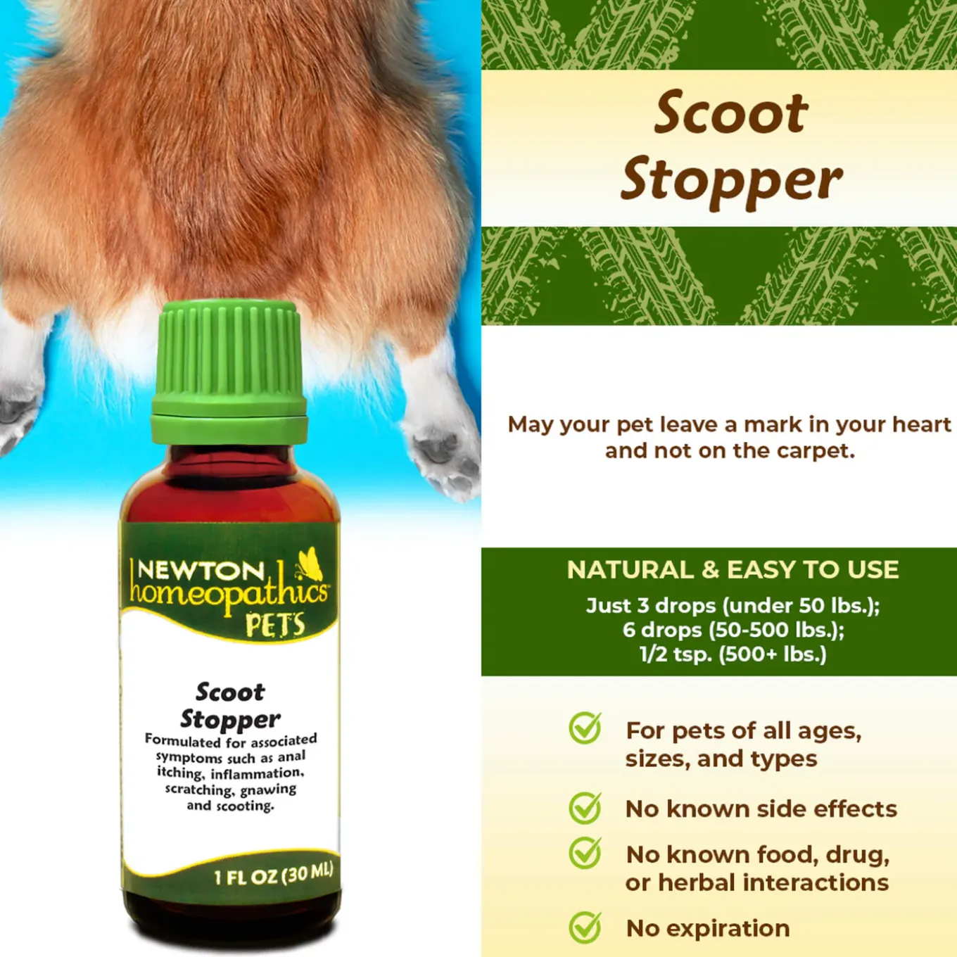 Newton Homeopathics Scoot Stopper