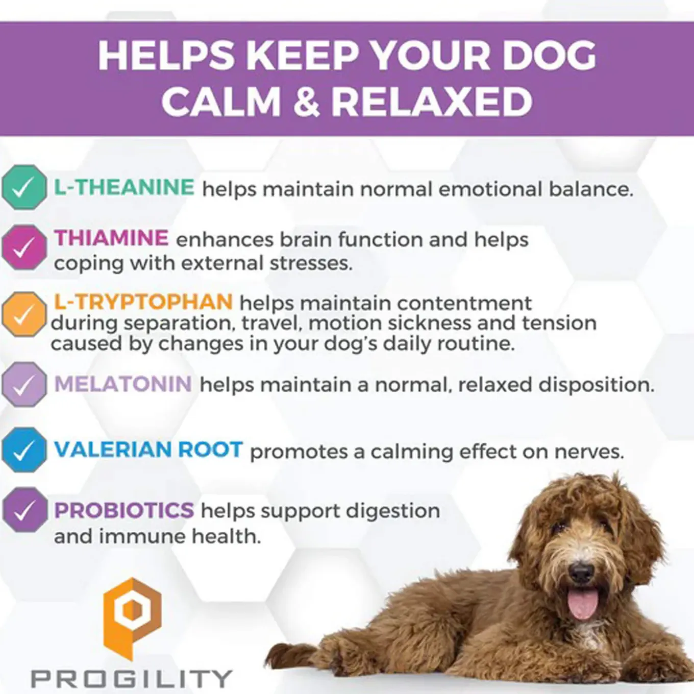 Nootie Progility Calming Supplement for Dogs