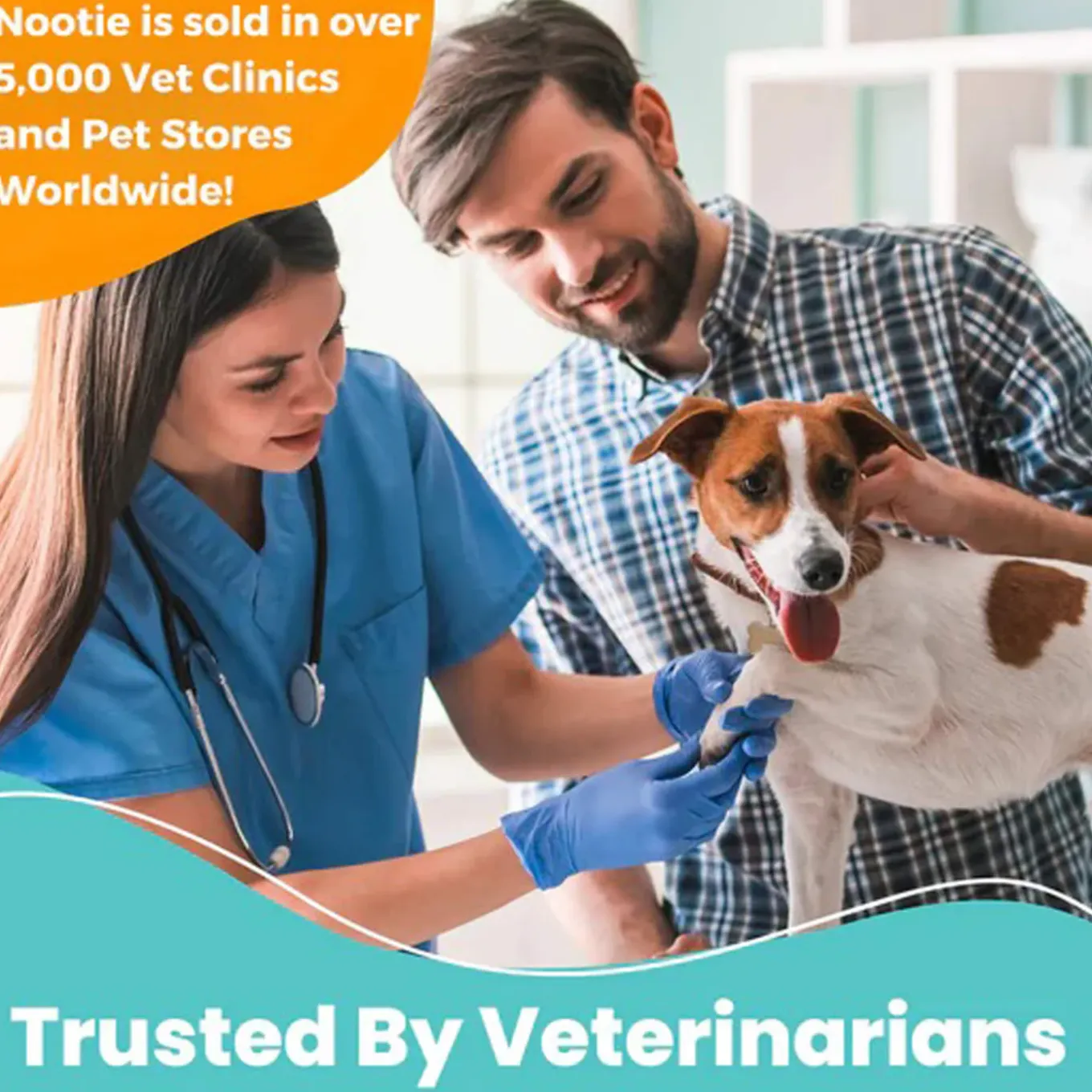 Nootie Progility Calming Supplement for Dogs
