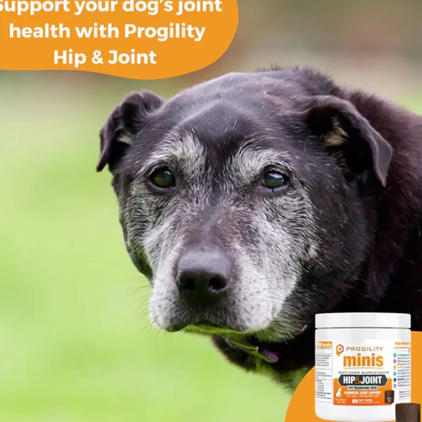 Nootie Progility Hip & Joint Supplement for Dogs