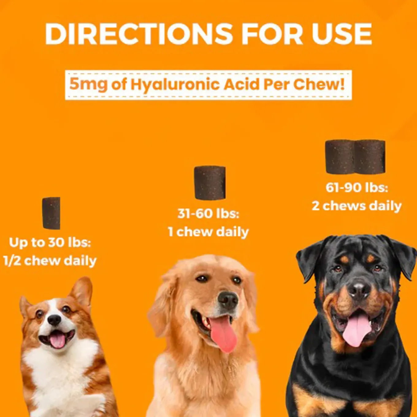 Nootie Progility Hip & Joint Supplement for Dogs