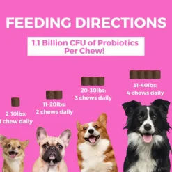 Nootie Progility Pre & Probiotics Supplement for Dogs
