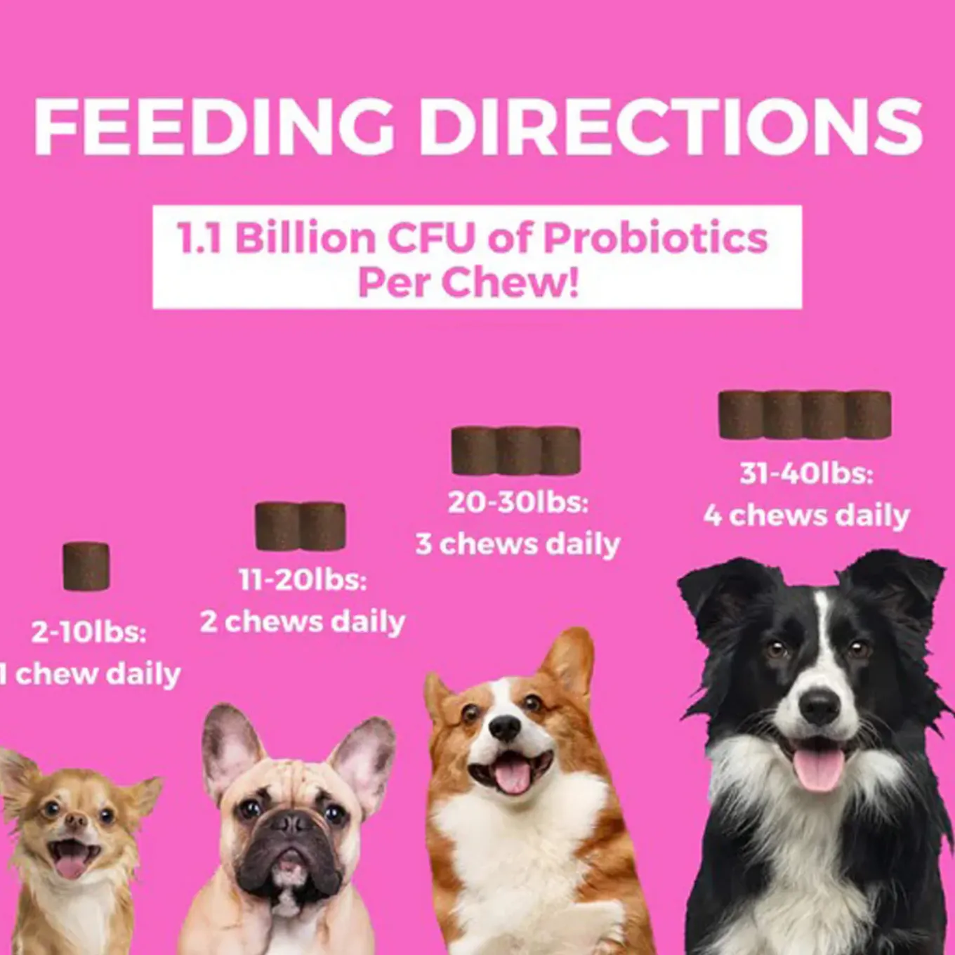Nootie Progility Pre & Probiotics Supplement for Dogs