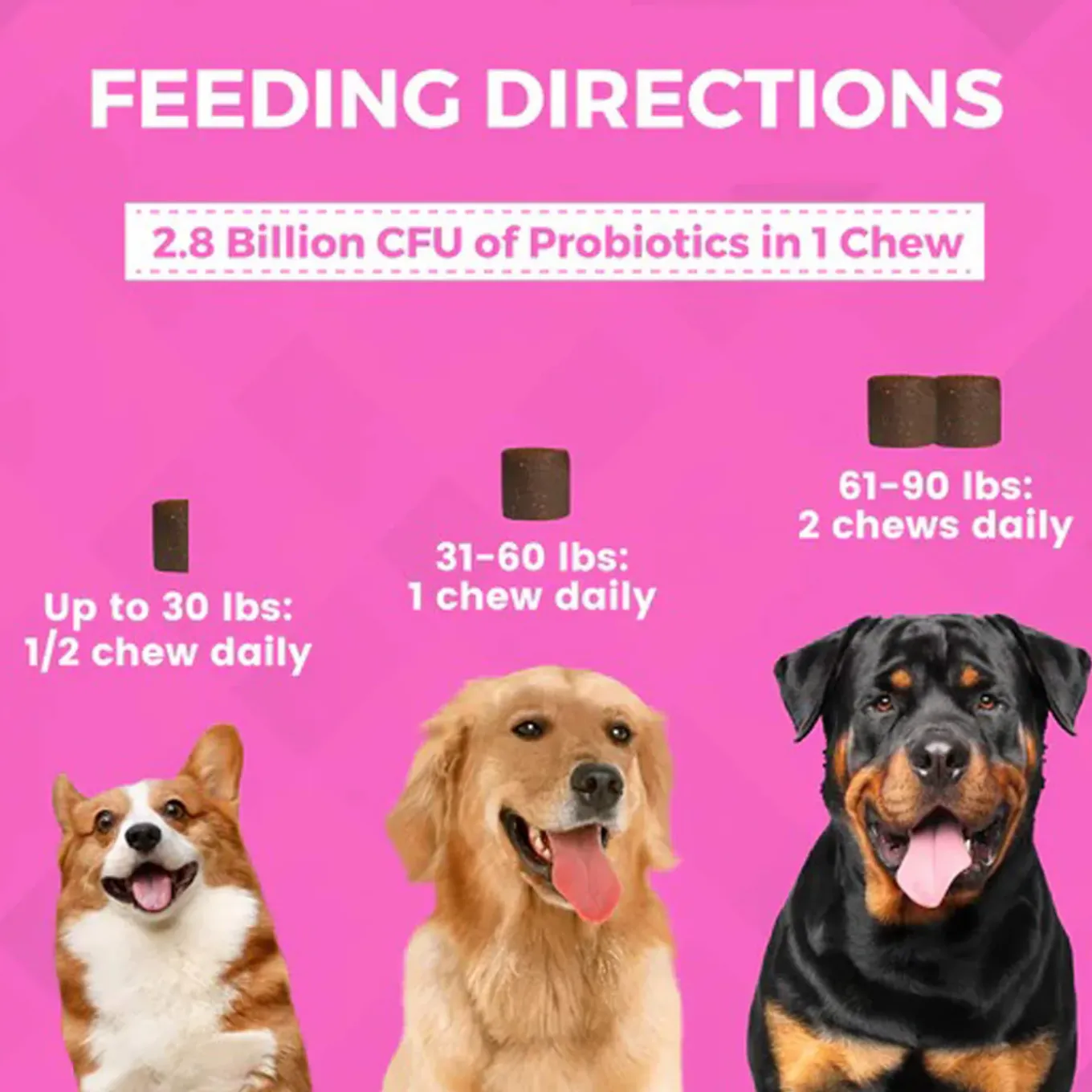 Nootie Progility Pre & Probiotics Supplement for Dogs
