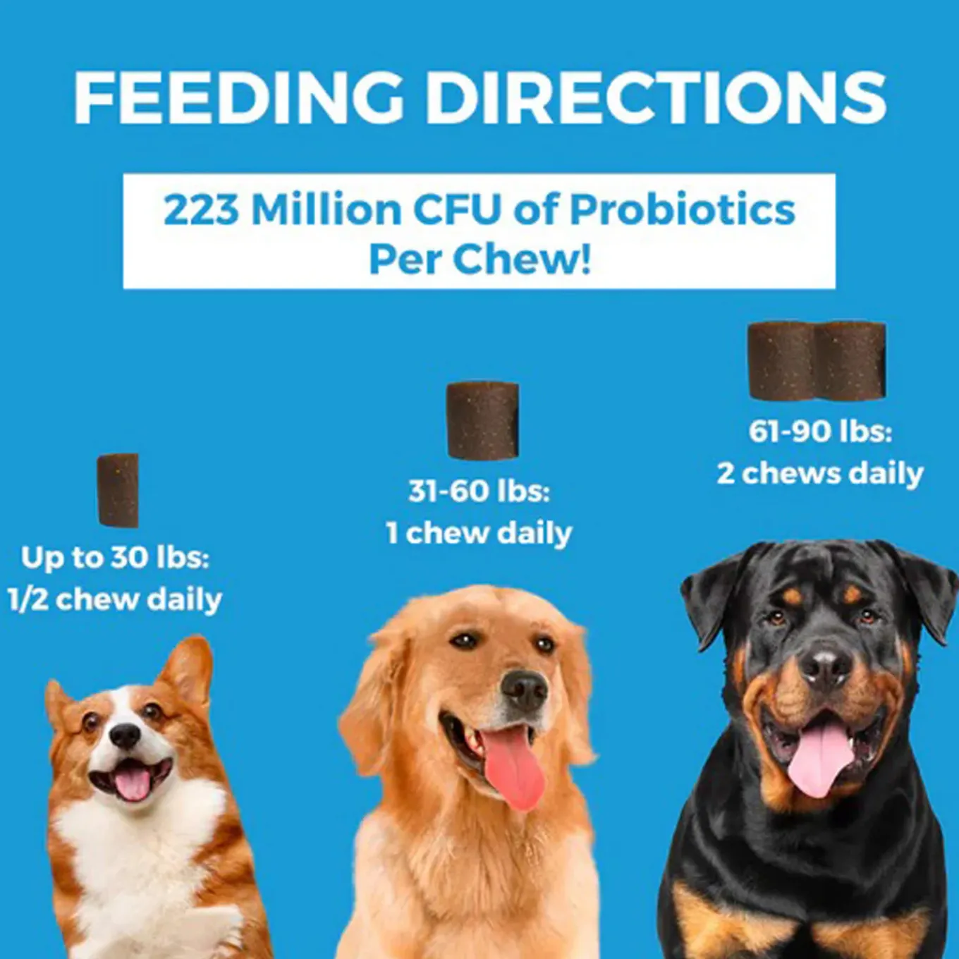 Nootie Progility Skin & Coat Supplement for Dogs