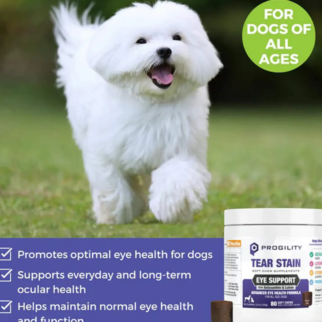 Nootie Progility Tear Stain Supplement for Dogs