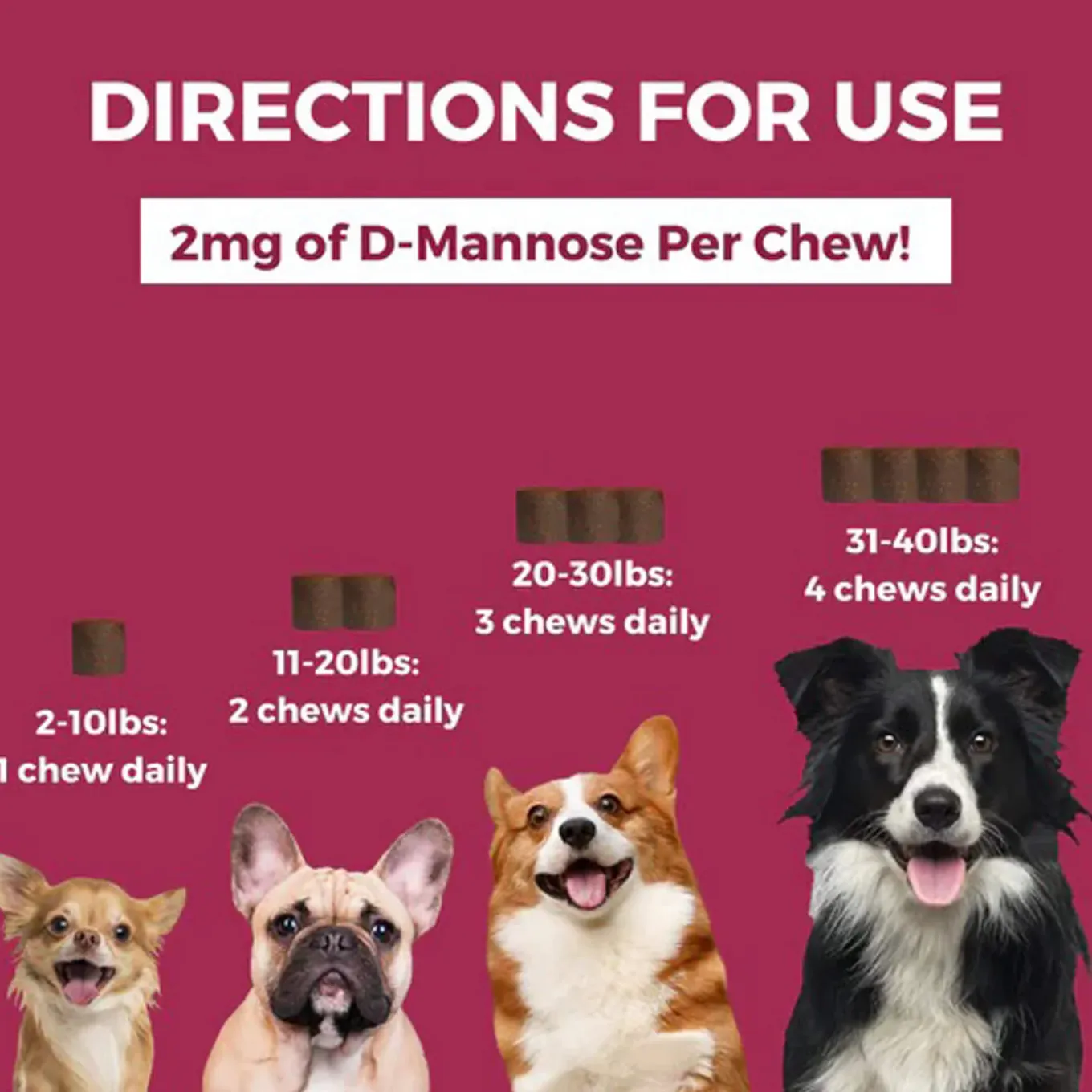 Nootie Progility Urinary Supplement for Dogs