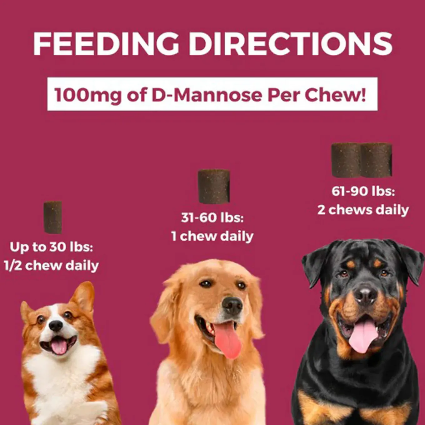Nootie Progility Urinary Supplement for Dogs