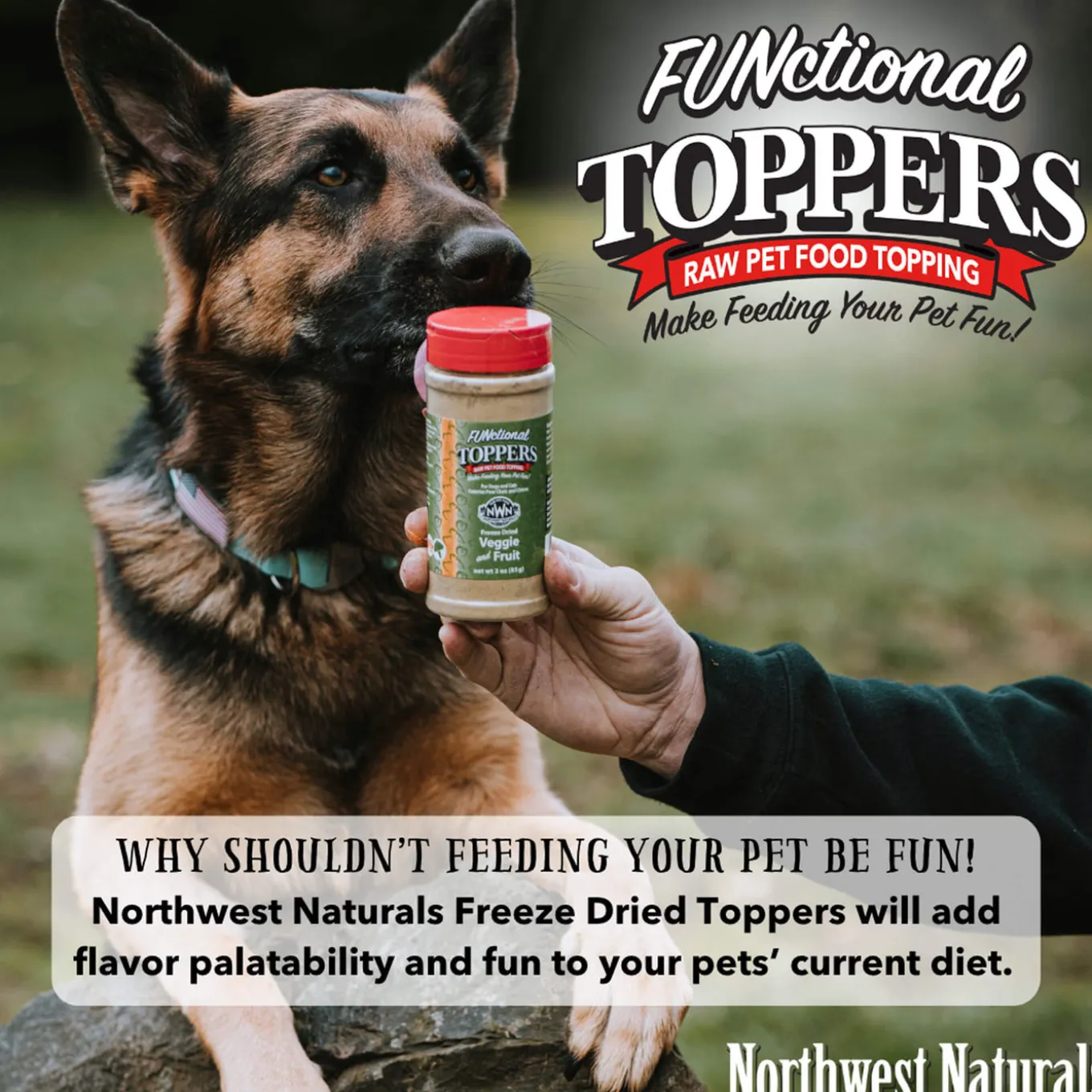 Northwest Naturals Freeze-Dried FUNctional Toppers for Dogs & Cats