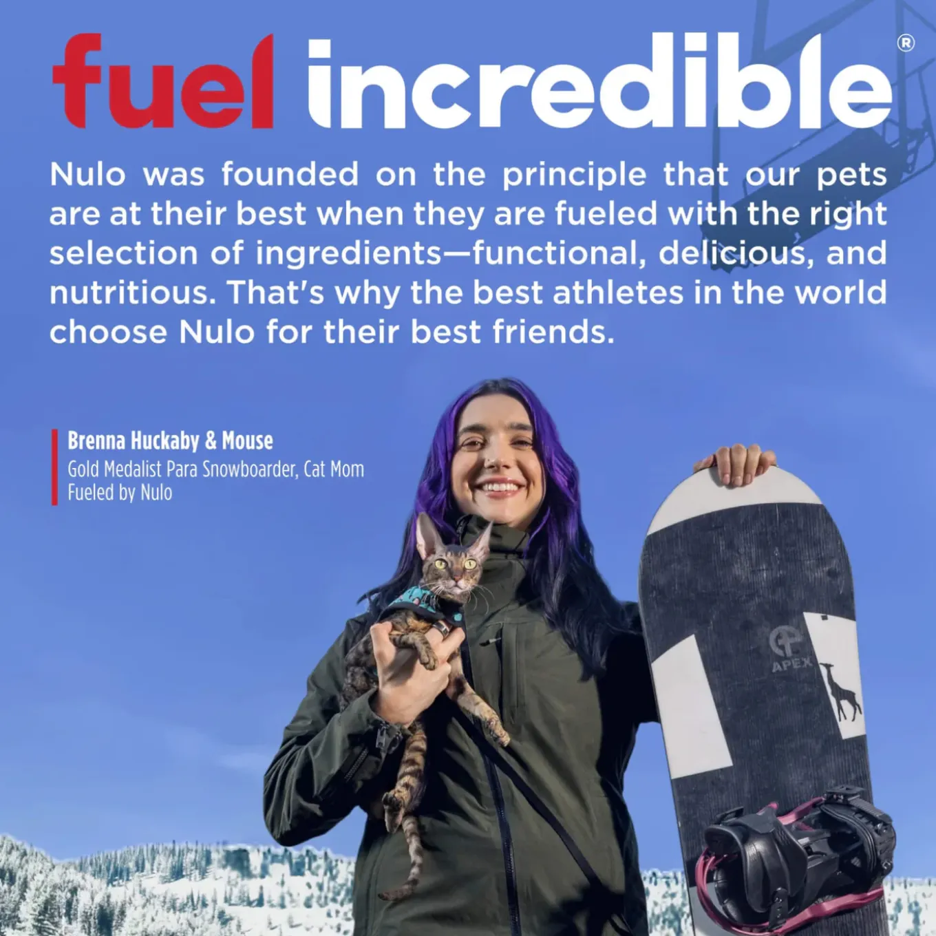 Nulo Freestyle Grain-Free Dry Cat Food