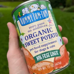 Nummy Tum Tum Organic Canned Dog & Cat Food Supplement