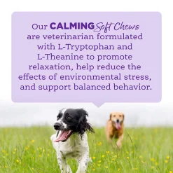 NutriSource Amplifull Calming Soft Chews for Dogs