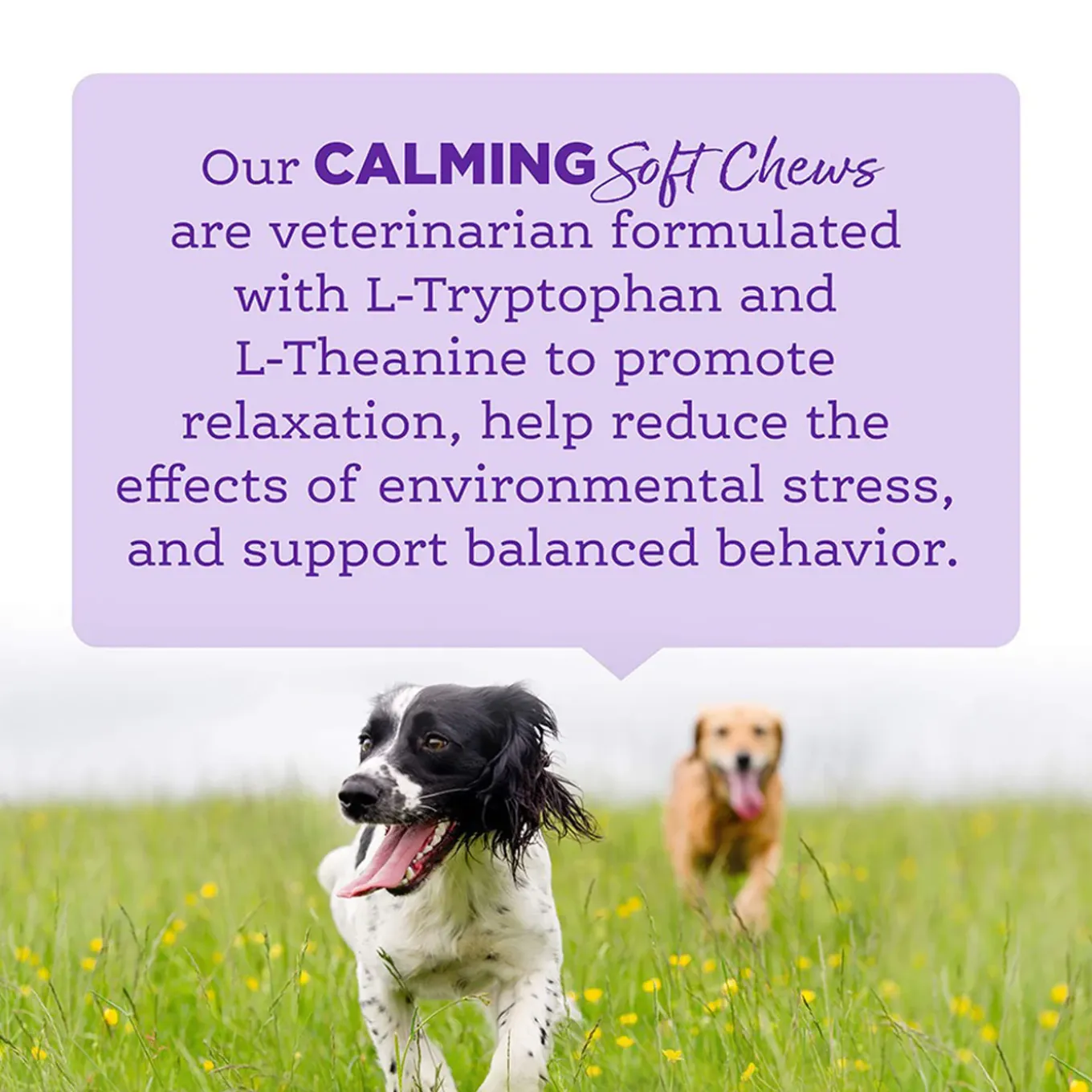 NutriSource Amplifull Calming Soft Chews for Dogs