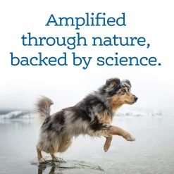 NutriSource Amplifull Mobility Soft Chews for Dogs