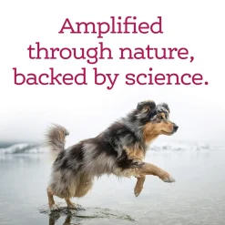 NutriSource Amplifull Skin & Coat Soft Chews for Dogs