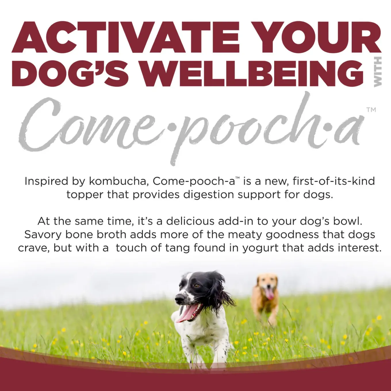 Nutrisource Come-pooch-a Bone Broth Dog Food Topper