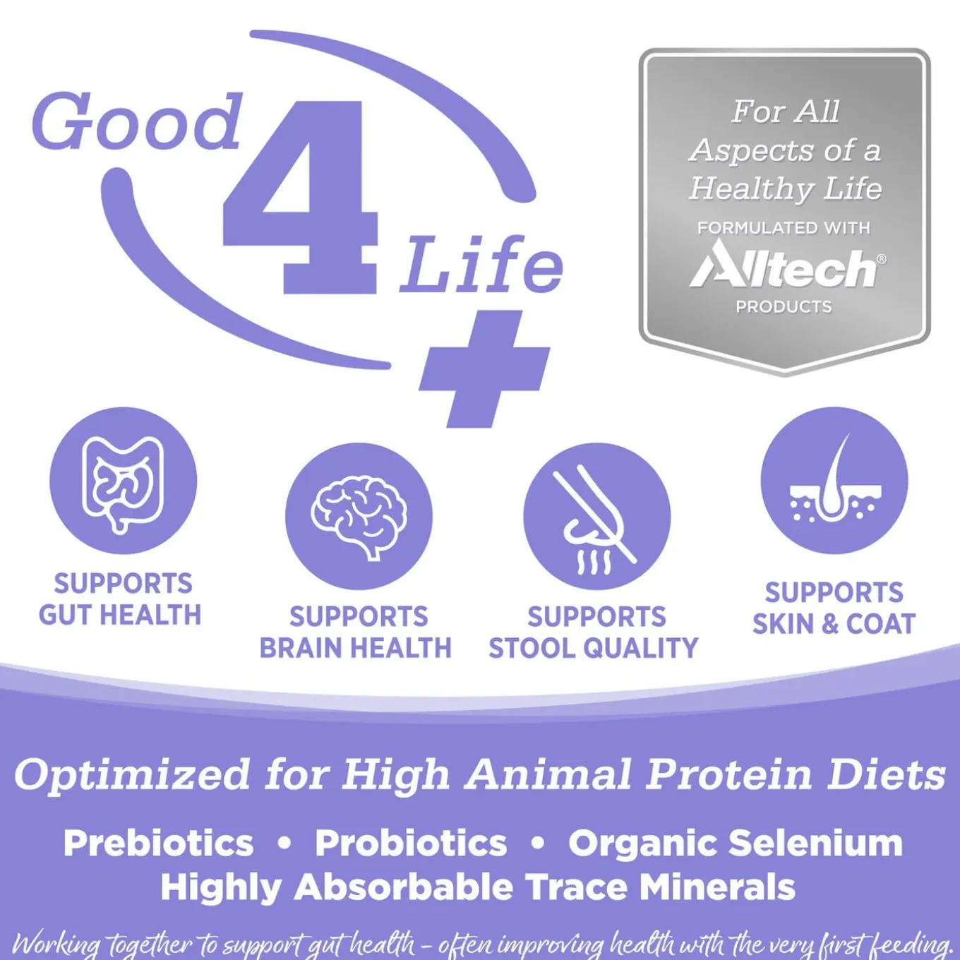 Nutrisource Grain Free Dry Cat Food