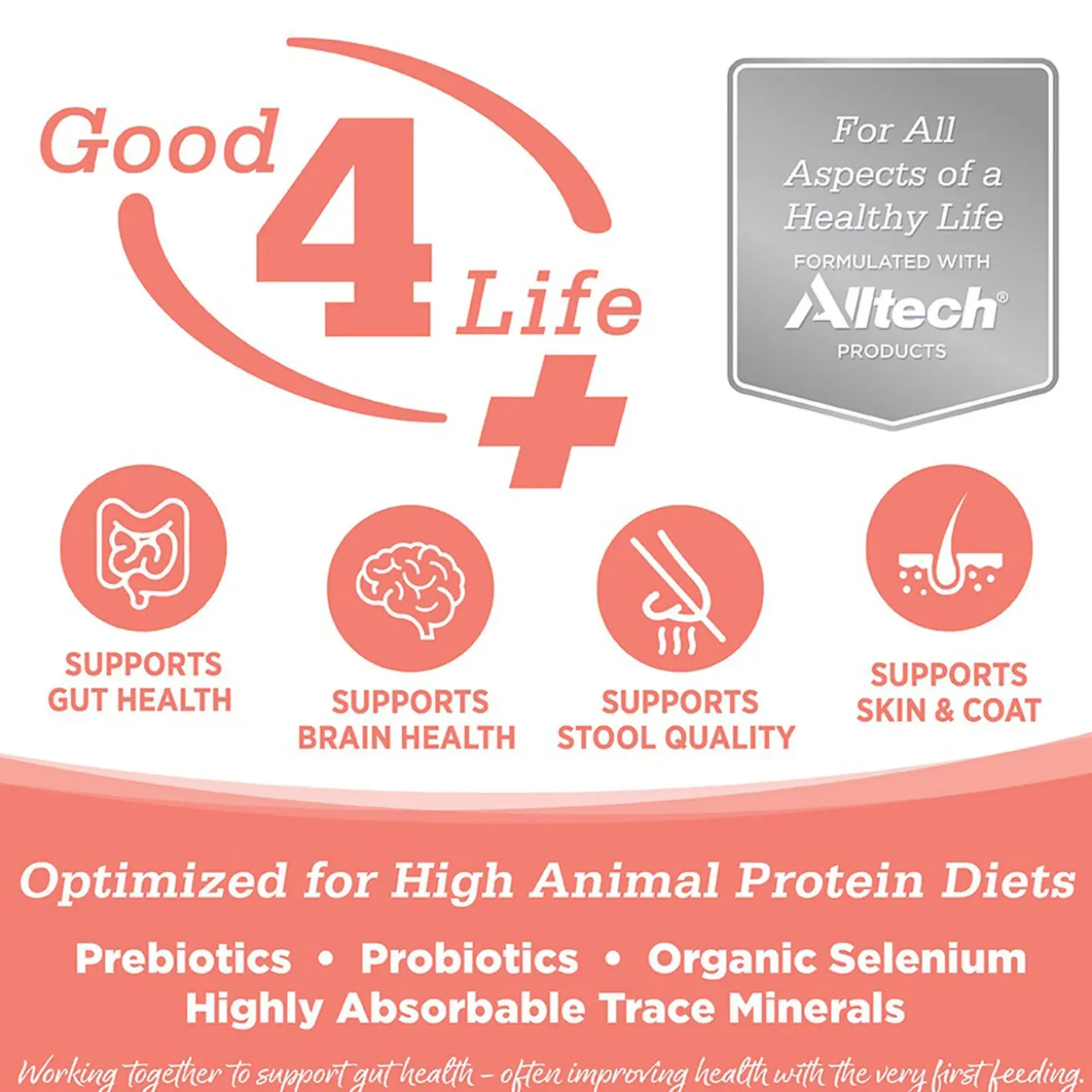 Nutrisource Grain Free Dry Cat Food