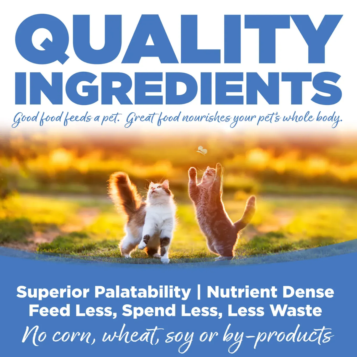 Nutrisource Grain Inclusive Dry Cat Food