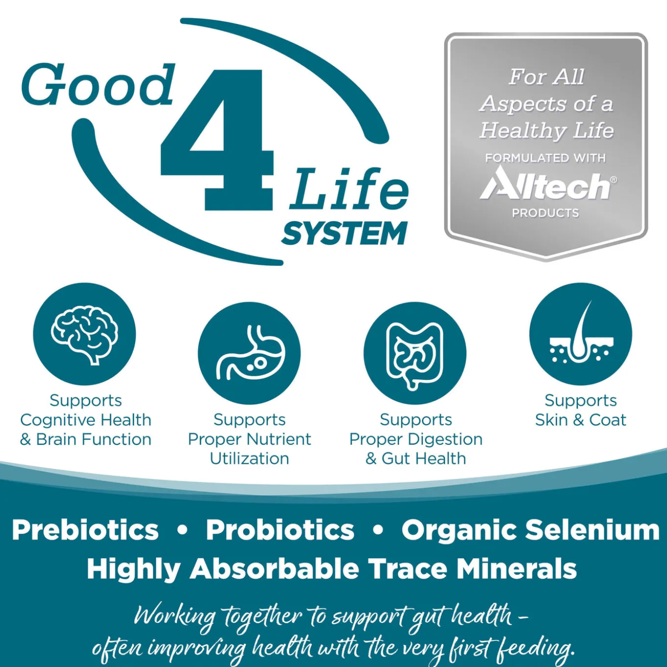 Nutrisource Grain Free Wet Dog Food