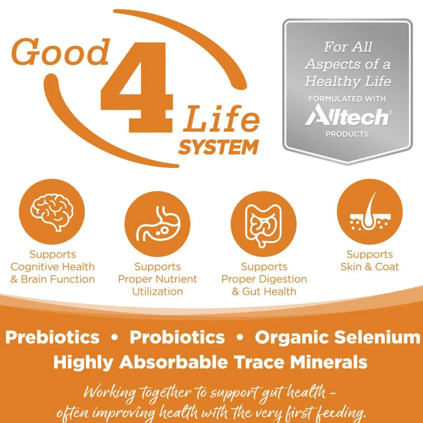 Nutrisource Grain Free Wet Dog Food