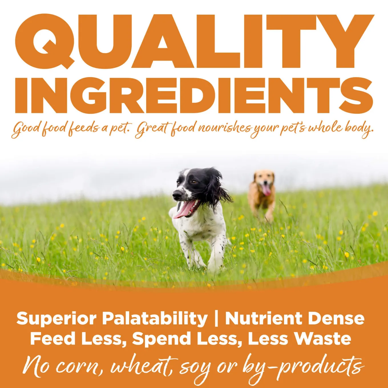 Nutrisource Grain Inclusive Wet Dog Food