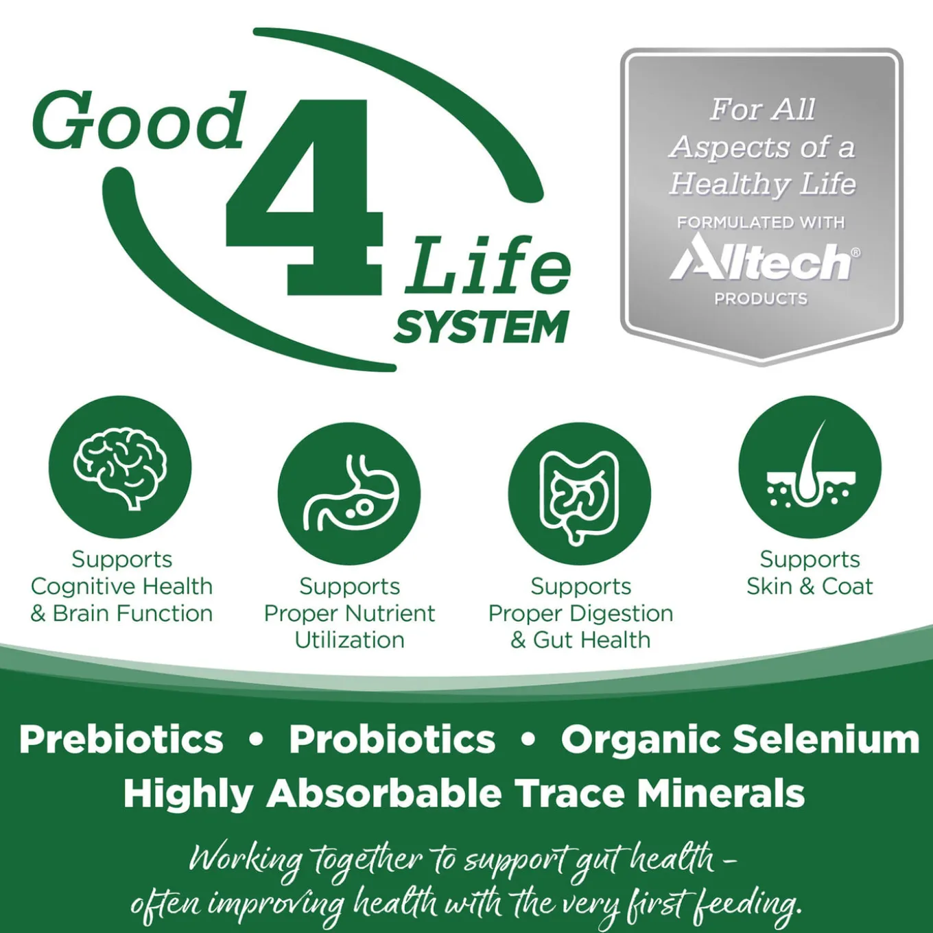 Nutrisource Grain Inclusive Wet Dog Food