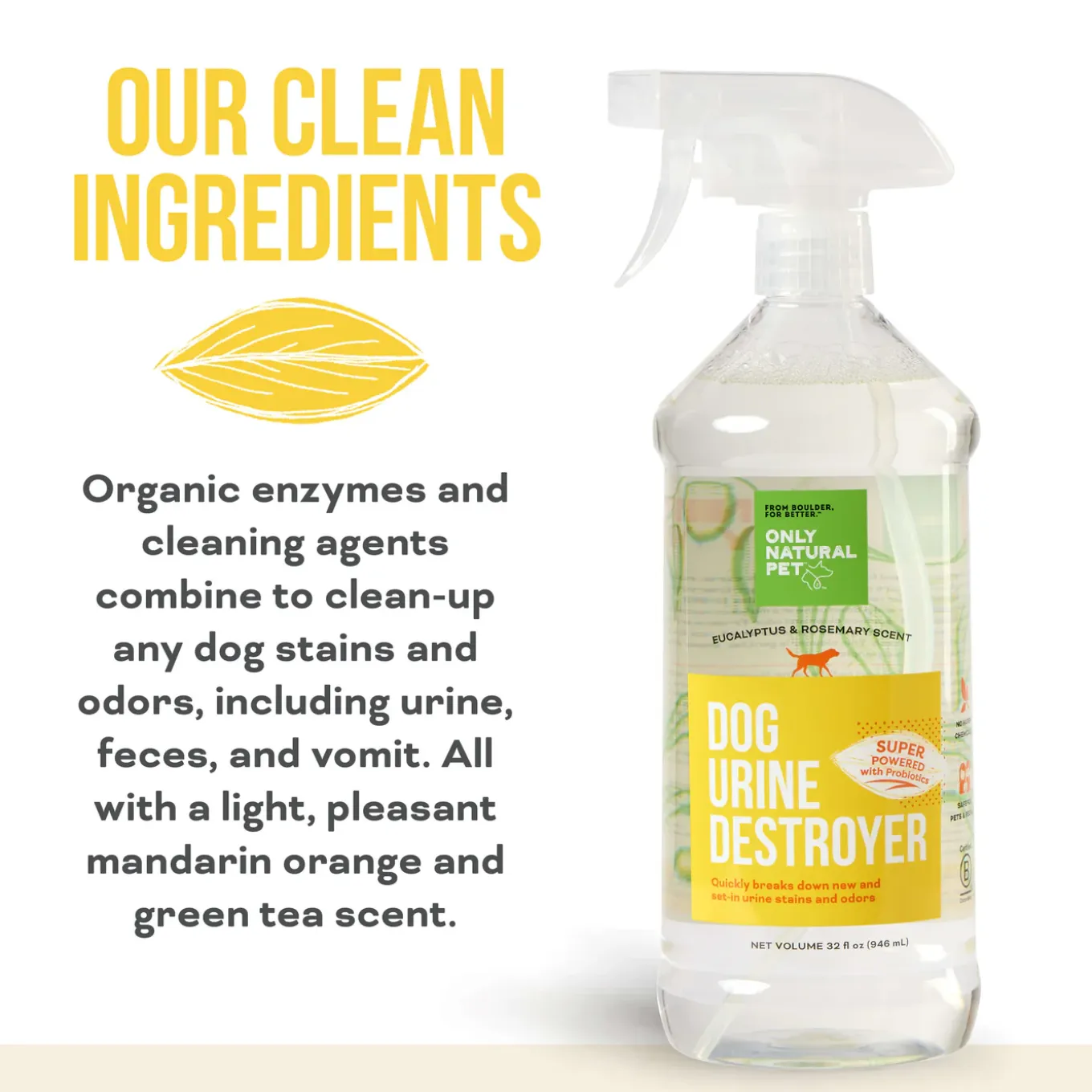 Only Natural Pet Dog Urine Stain & Odor Destroyer Probiotic Spray for Dogs 32 oz