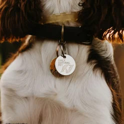 Only Natural Pet Easy Defense Flea & Tick Tag for Dogs & Cats Promo