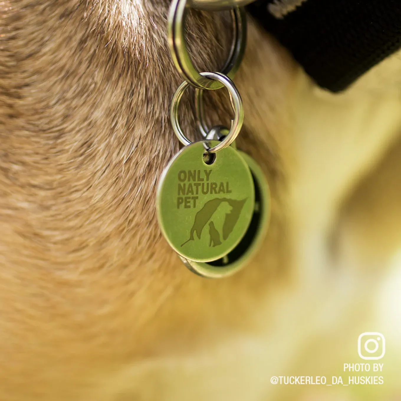 Only Natural Pet Easy Defense Flea & Tick Tag for Dogs & Cats Promo