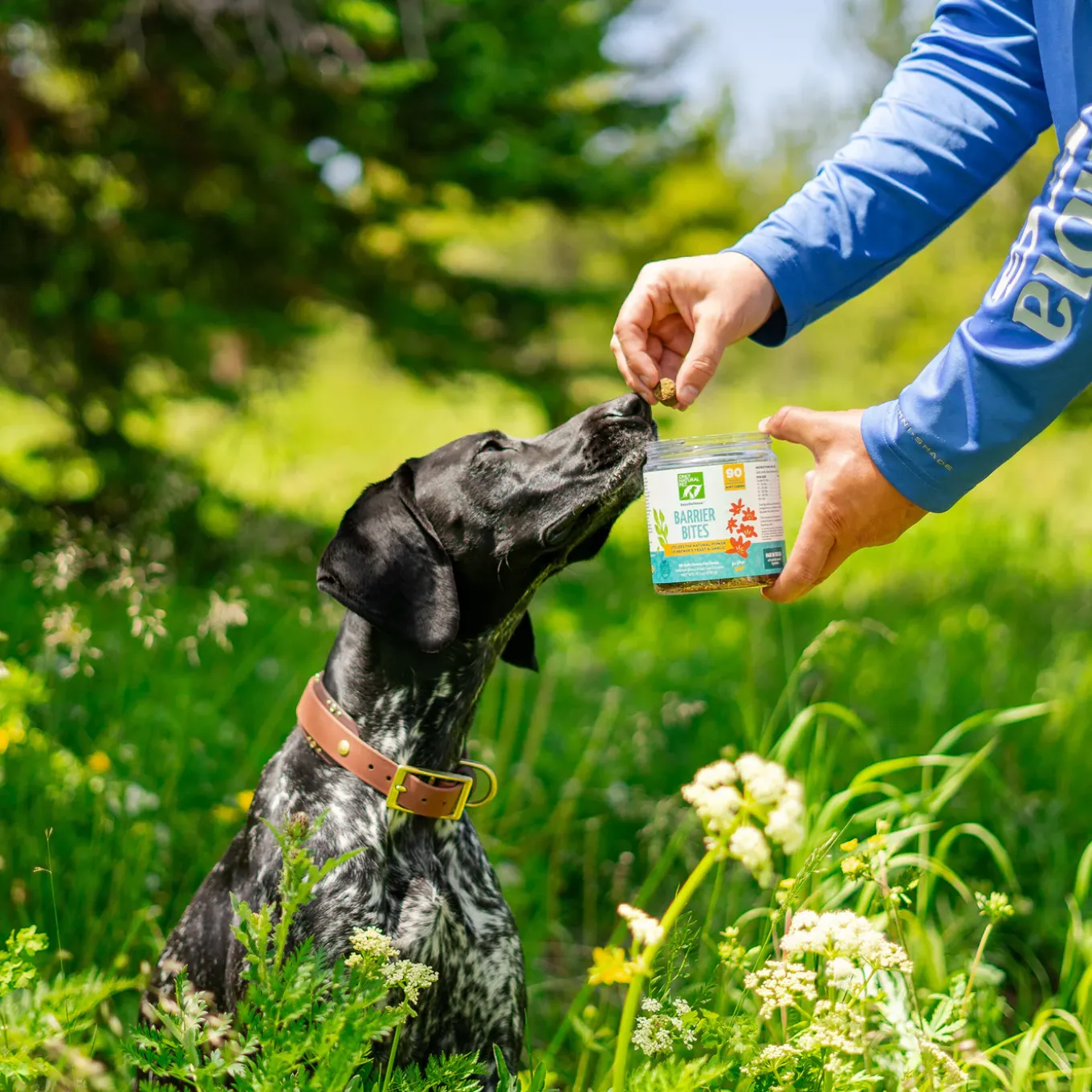 Only Natural Pet Flea & Tick Kits for Dogs