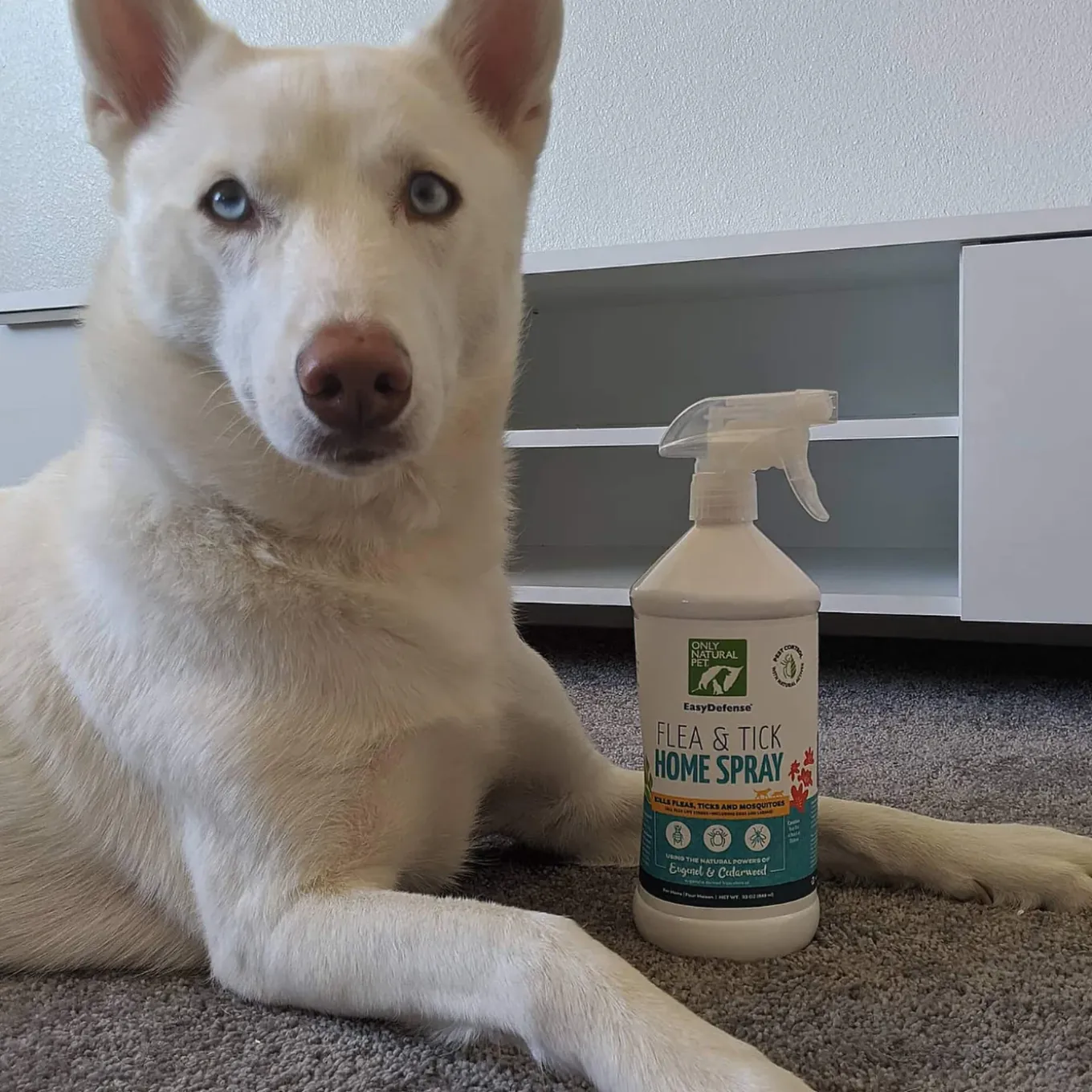 Only Natural Pet Flea & Tick Kits for Dogs