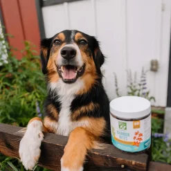 Only Natural Pet Flea & Tick Kits for Dogs