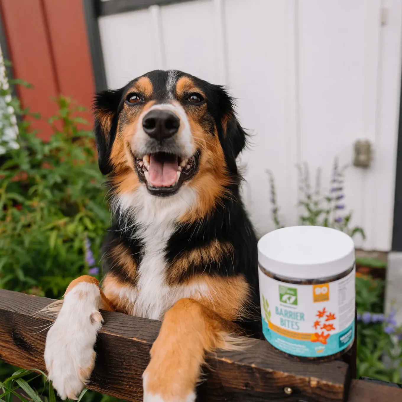 Only Natural Pet Flea & Tick Kits for Dogs