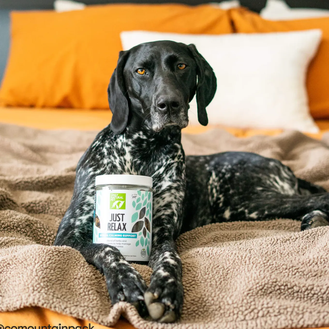 Only Natural Pet Just Relax Calming Chews for Dogs