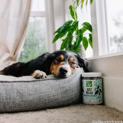 Only Natural Pet Just Relax Calming Chews for Dogs